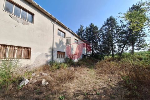 Erhvervsejendom i Benevento, Benevento, Benevento - € 200.000 | Ref: AA39515 - foto 3