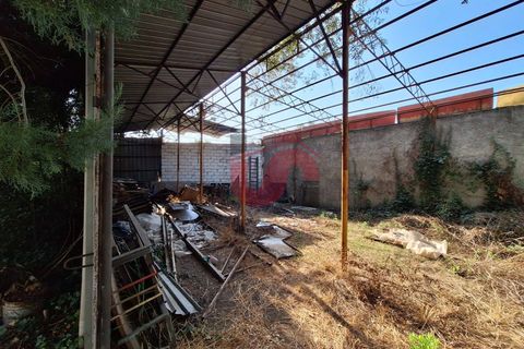 Erhvervsejendom i Benevento, Benevento, Benevento - € 200.000 | Ref: AA39515 - foto 5