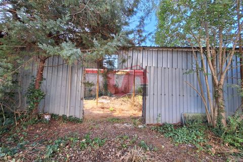 Erhvervsejendom i Benevento, Benevento, Benevento - € 200.000 | Ref: AA39515 - foto 8
