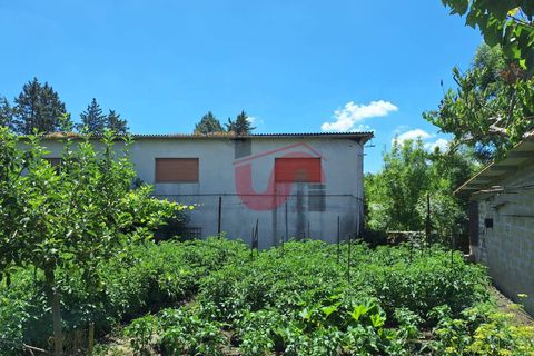 Erhvervsejendom i Benevento, Benevento, Benevento - € 200.000 | Ref: AA39515 - foto 9