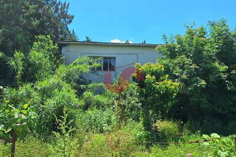 Erhvervsejendom i Benevento, Benevento, Benevento - € 200.000 | Ref: AA39515 - foto 20