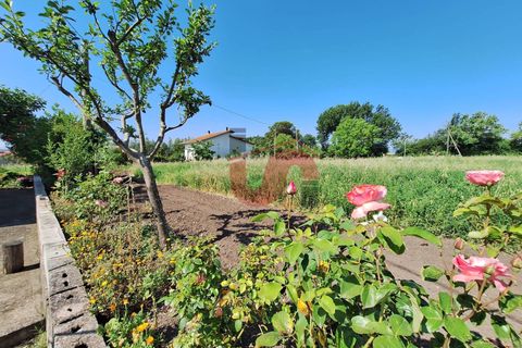 Villa i Benevento, Benevento, Benevento - € 148.000 | Ref: AA39525 - foto 9