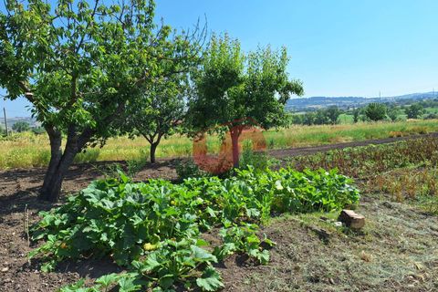 Villa i Benevento, Benevento, Benevento - € 148.000 | Ref: AA39525 - foto 12