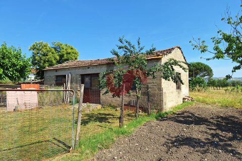 Villa i Benevento, Benevento, Benevento - € 148.000 | Ref: AA39525 - foto 50