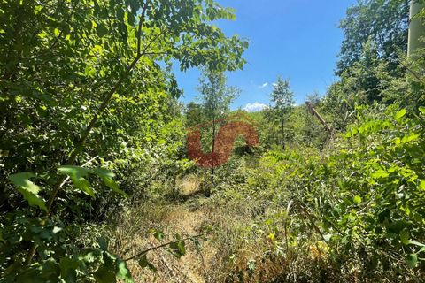 Helårsgrund i Sant'Angelo a Cupolo, Benevento, Sant'Angelo a Cupolo - € 25.000 | Ref: AA39537 - foto 4