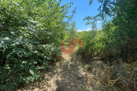 Helårsgrund i Sant'Angelo a Cupolo, Benevento, Sant'Angelo a Cupolo - € 25.000 | Ref: AA39537 - foto 5