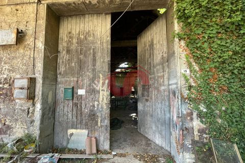 Erhvervsejendom i Benevento, Benevento, Benevento - € 75.000 | Ref: AA39674 - foto 4