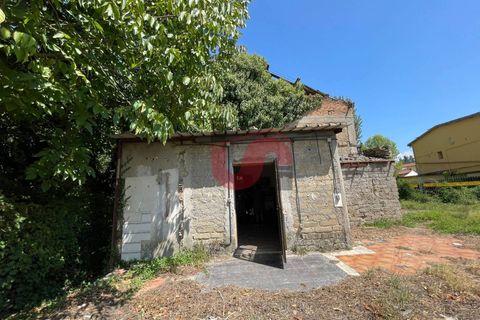 Erhvervsejendom i Benevento, Benevento, Benevento - € 75.000 | Ref: AA39674 - foto 16