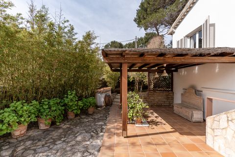 Villa i Cala Sant Vicenc (Pollenca), Mallorca, Cala Sant Vicenc (Pollenca) - € 1.575.000 | Ref: PAL_3335 - foto 22