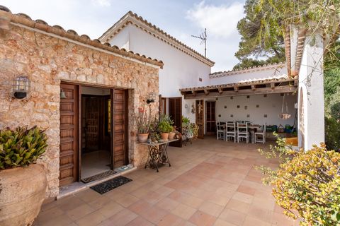 Haus in Cala Sant Vicenc (Pollenca), Mallorca - Foto 3