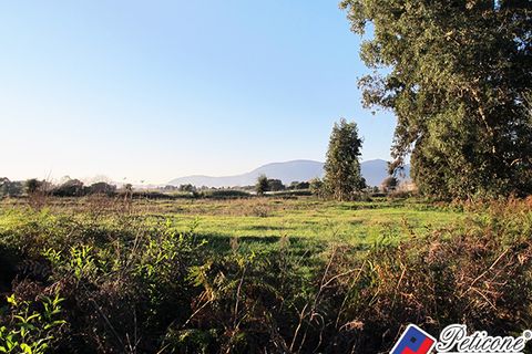 Helårsgrund i Fondi, Latina, Fondi - € 600.000 | Ref: TH03 - foto 2