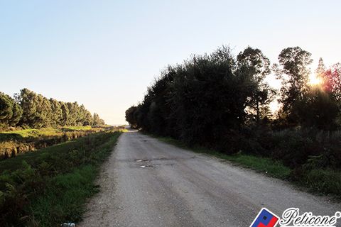 Helårsgrund i Fondi, Latina, Fondi - € 600.000 | Ref: TH03 - foto 6