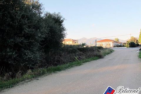 Helårsgrund i Fondi, Latina, Fondi - € 290.000 | Ref: TV65 - foto 6
