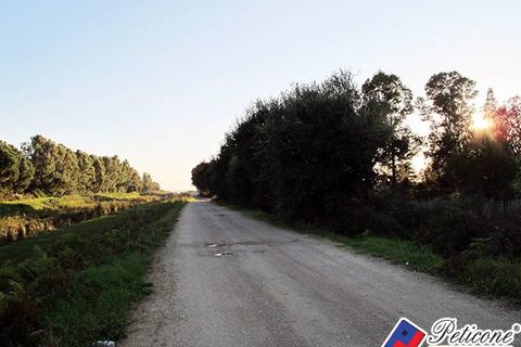 Helårsgrund i Fondi, Latina, Fondi - € 290.000 | Ref: TV65 - foto 7