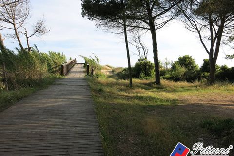 Helårsgrund i Fondi, Latina, Fondi - € 170.000 | Ref: TN66 - foto 14