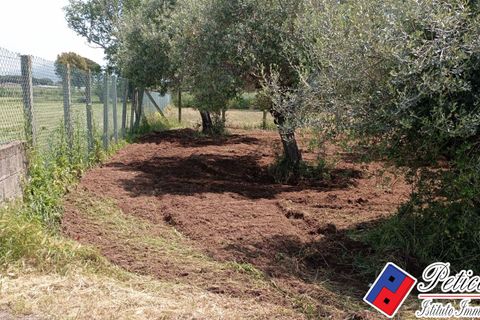 Helårsgrund i Fondi, Latina, Fondi - € 18.000 | Ref: TR73 - foto 3