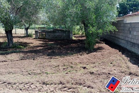 Helårsgrund i Fondi, Latina, Fondi - € 18.000 | Ref: TR73 - foto 6