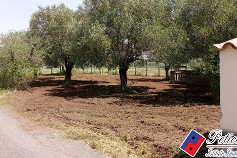 Helårsgrund i Fondi, Latina, Fondi - € 18.000 | Ref: TR73 - foto 7