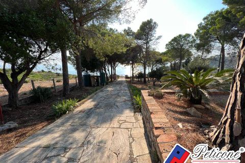 Villa a Sperlonga, Latina, Sperlonga - € 975.000 | Ref: V578 - foto 26