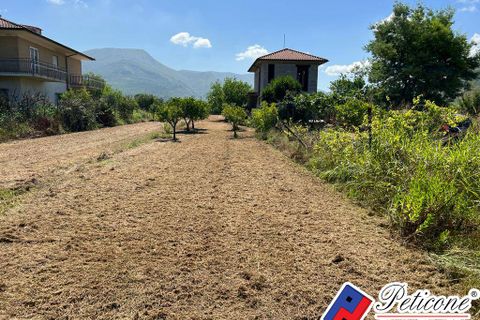Villa a Fondi, Latina, Fondi - € 350.000 | Ref: SP100 - foto 5