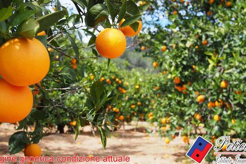 Helårsgrund i Fondi, Latina, Fondi - € 55.000 | Ref: TR76 - foto 2