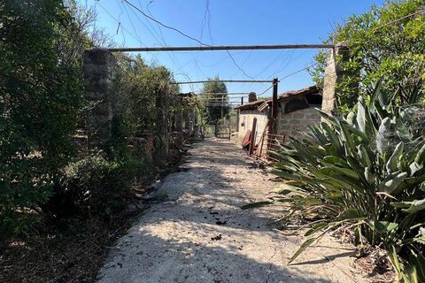 Helårsgrund i Fondi, Latina, Fondi - € 300.000 | Ref: SP101 - foto 3