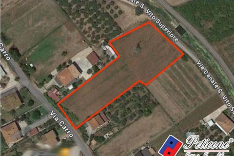 Helårsgrund i Monte San Biagio, Latina, Monte San Biagio - € 40.000 | Ref: TR78RM - foto 1