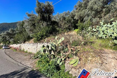 Helårsgrund i Fondi, Latina, Fondi - € 60.000 | Ref: TR82RM - foto 2