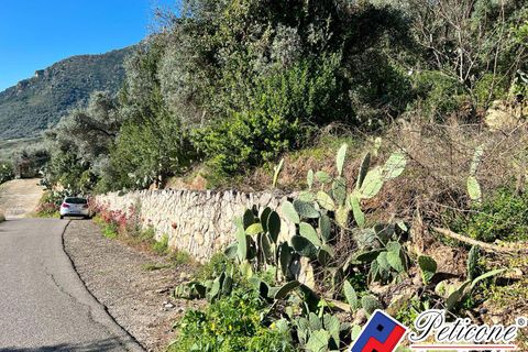 Helårsgrund i Fondi, Latina, Fondi - € 60.000 | Ref: TR82RM - foto 4