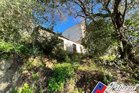 Helårsgrund i Fondi, Latina, Fondi - € 60.000 | Ref: TR82RM - foto 5