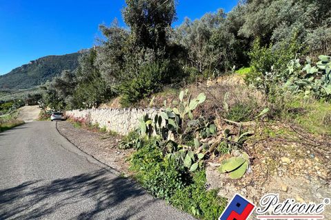 Helårsgrund i Fondi, Latina, Fondi - € 60.000 | Ref: TR82RM - foto 6