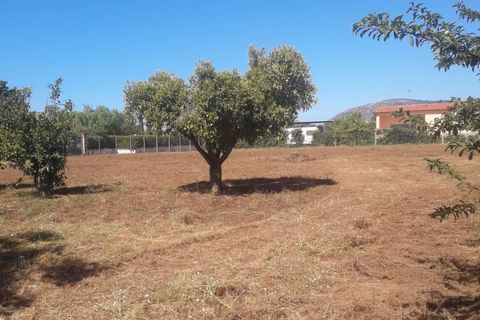 Helårsgrund i Fondi, Latina, Fondi - € 79.000 | Ref: TR92 - foto 1