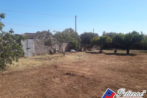 Helårsgrund i Fondi, Latina, Fondi - € 79.000 | Ref: TR92 - foto 3