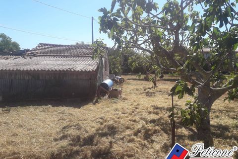 Helårsgrund i Fondi, Latina, Fondi - € 79.000 | Ref: TR92 - foto 4
