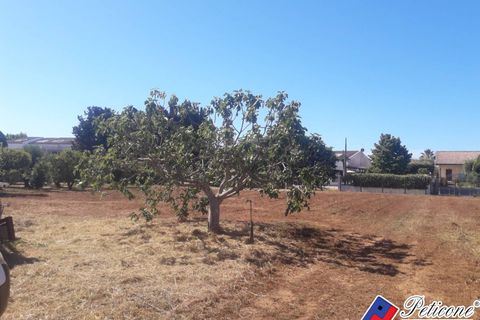 Helårsgrund i Fondi, Latina, Fondi - € 79.000 | Ref: TR92 - foto 5