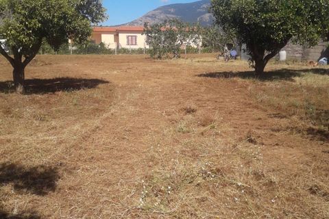 Helårsgrund i Fondi, Latina, Fondi - € 79.000 | Ref: TR92 - foto 6