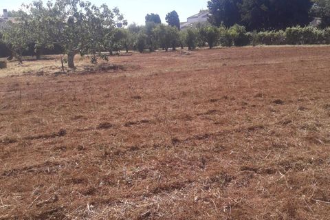 Helårsgrund i Fondi, Latina, Fondi - € 79.000 | Ref: TR92 - foto 7