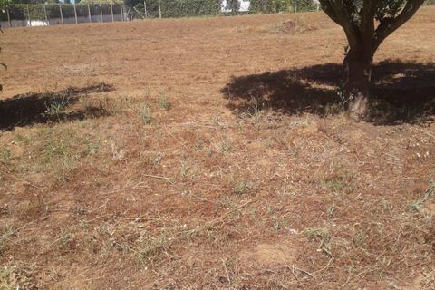 Helårsgrund i Fondi, Latina, Fondi - € 79.000 | Ref: TR92 - foto 8