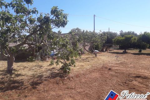 Helårsgrund i Fondi, Latina, Fondi - € 79.000 | Ref: TR92 - foto 10