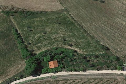 Villa i Ripatransone, Ascoli Piceno, Ripatransone - € 200 000 | Ref: V492 - foto 2
