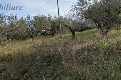 Helårsgrund i Monteprandone, Ascoli Piceno, Monteprandone - € 200.000 | Ref: V658N - foto 3