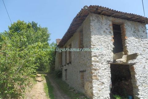 Herregård i Dego, Savona, Dego - € 40 000 | Ref: 1229 - foto 2