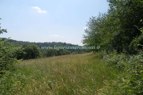 Herregård i Dego, Savona, Dego - € 40 000 | Ref: 1229 - foto 3