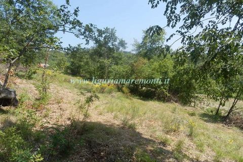 Herregård i Dego, Savona, Dego - € 40 000 | Ref: 1229 - foto 6