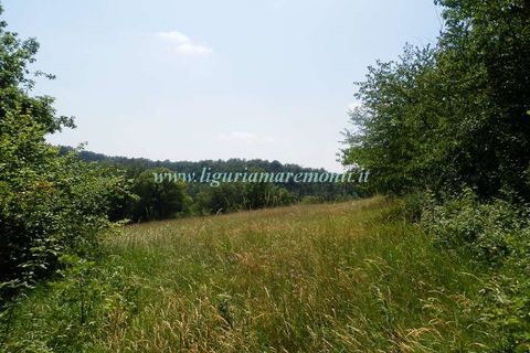 Herregård i Dego, Savona, Dego - € 40 000 | Ref: 1229 - foto 15