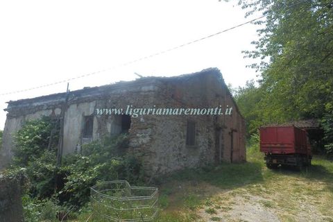 Herregård i Dego, Savona, Dego - € 40 000 | Ref: 1229 - foto 20
