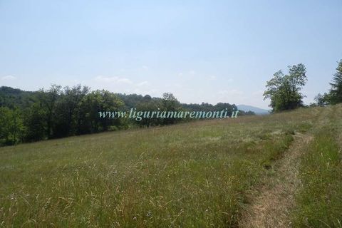 Herregård i Dego, Savona, Dego - € 40 000 | Ref: 1229 - foto 23