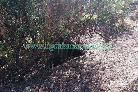 Helårsgrund i Savona, Savona, Savona - € 20.000 | Ref: 1156 - foto 2