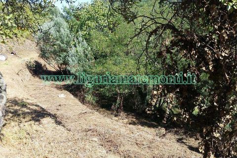 Helårsgrund i Savona, Savona, Savona - € 20.000 | Ref: 1156 - foto 3