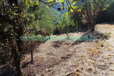Helårsgrund i Savona, Savona, Savona - € 20.000 | Ref: 1156 - foto 5